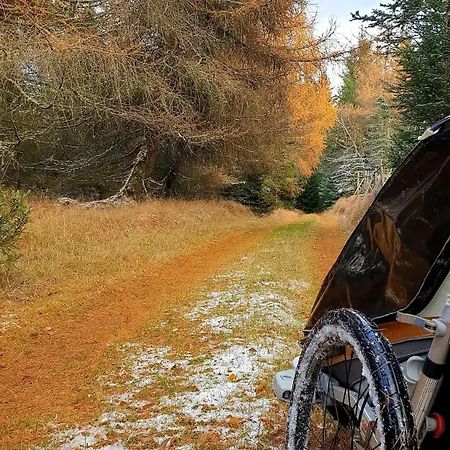 Five Maple For Families And Wild Nature Lovers *