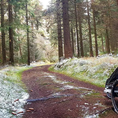 Five Maple For Families And Wild Nature Lovers Prázdninový dům *