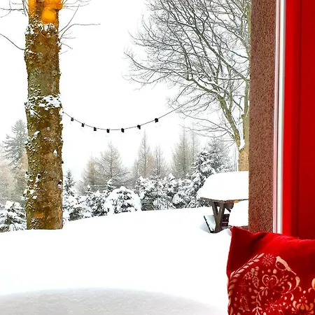 Five Maple For Families And Wild Nature Lovers Holiday home