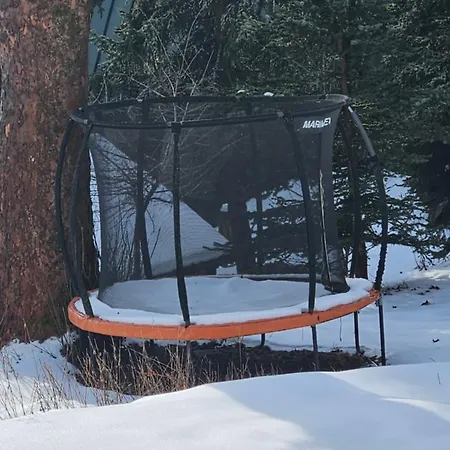 Five Maple For Families And Wild Nature Lovers Medenec