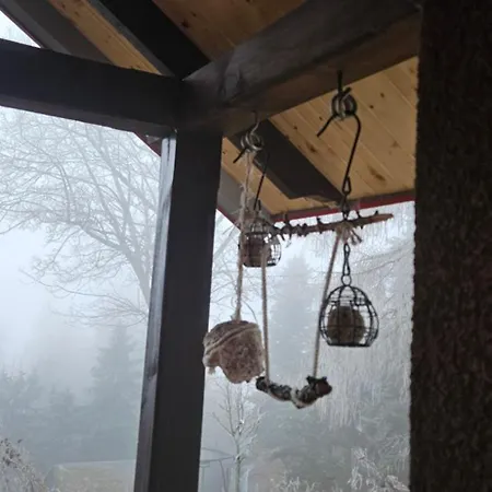 Five Maple For Families And Wild Nature Lovers *